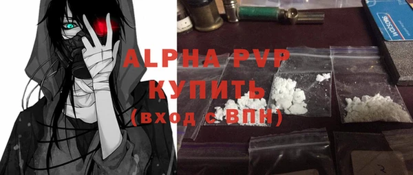 стаф Алексин
