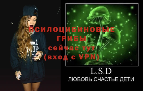 стаф Алексин