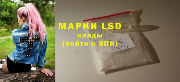 стаф Алексин