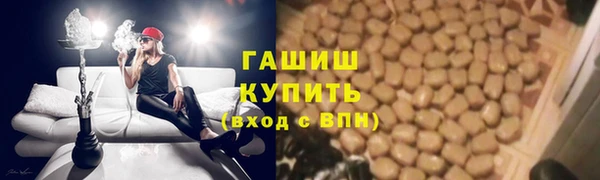 стаф Алексин
