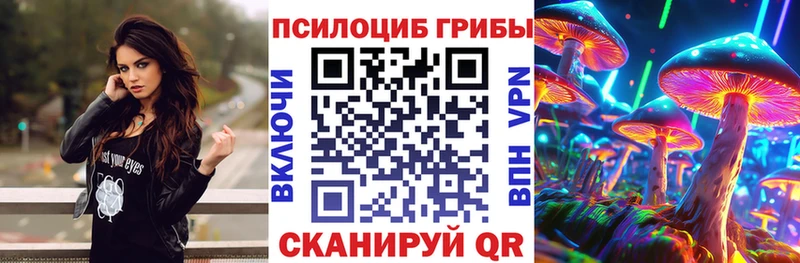 Псилоцибиновые грибы GOLDEN TEACHER  Берёзовский 